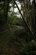 The Path to Nowhere - Taiwan mountain photography print