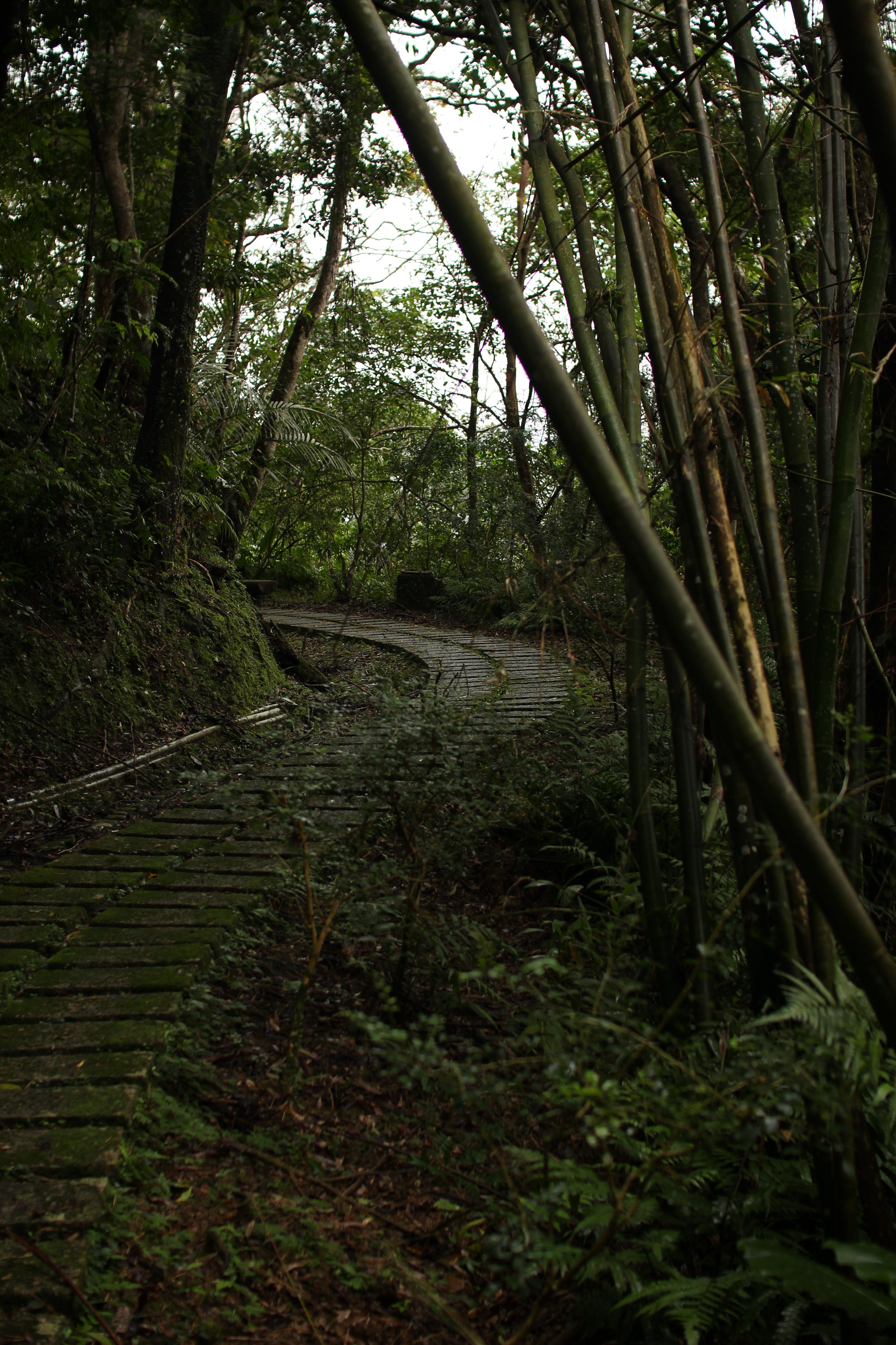 The Path to Nowhere - Taiwan mountain photography print