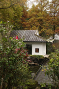 The End is the True Beginning - Taiwan garden photography print