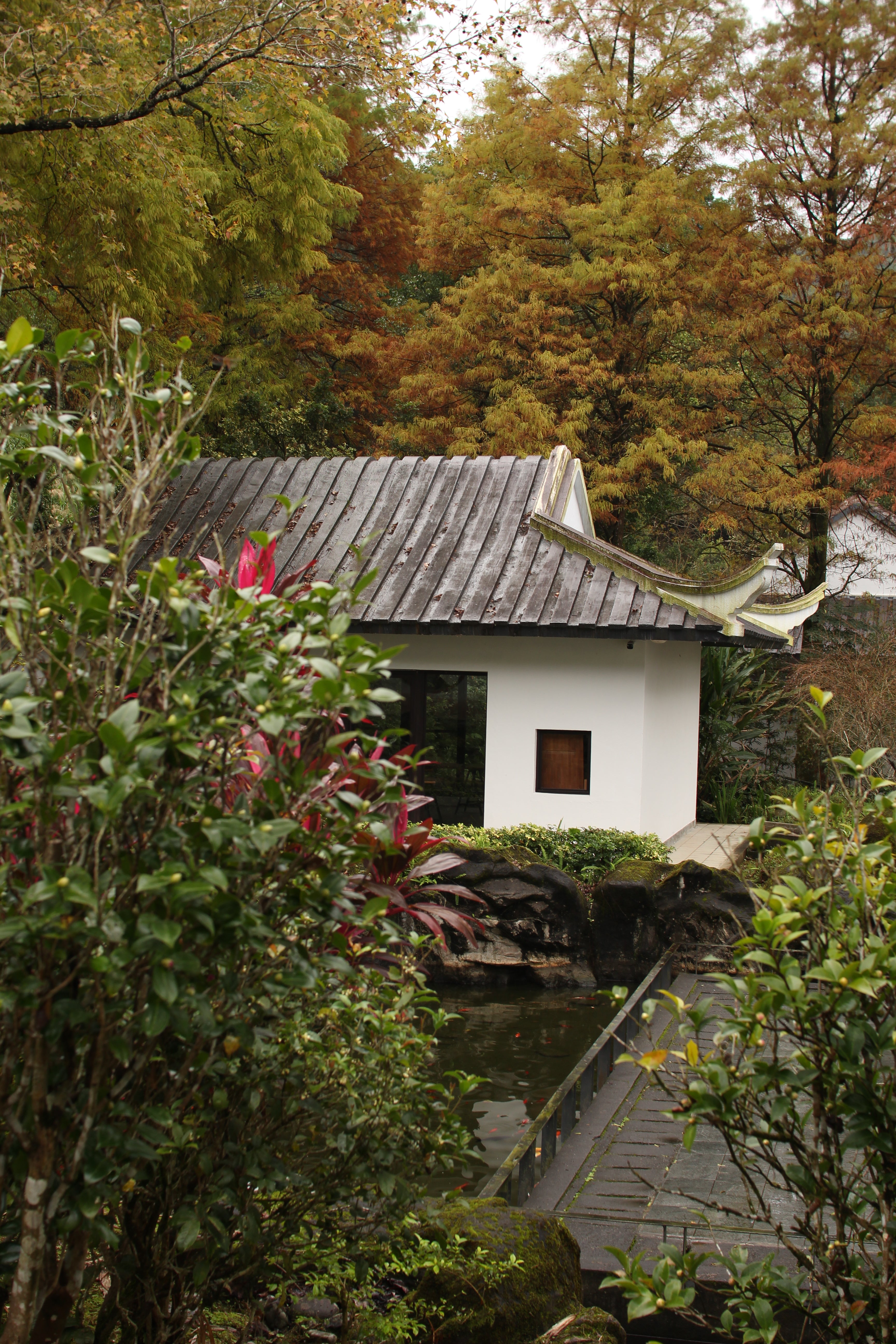 The end is the true beginning - Taiwan garden photography print