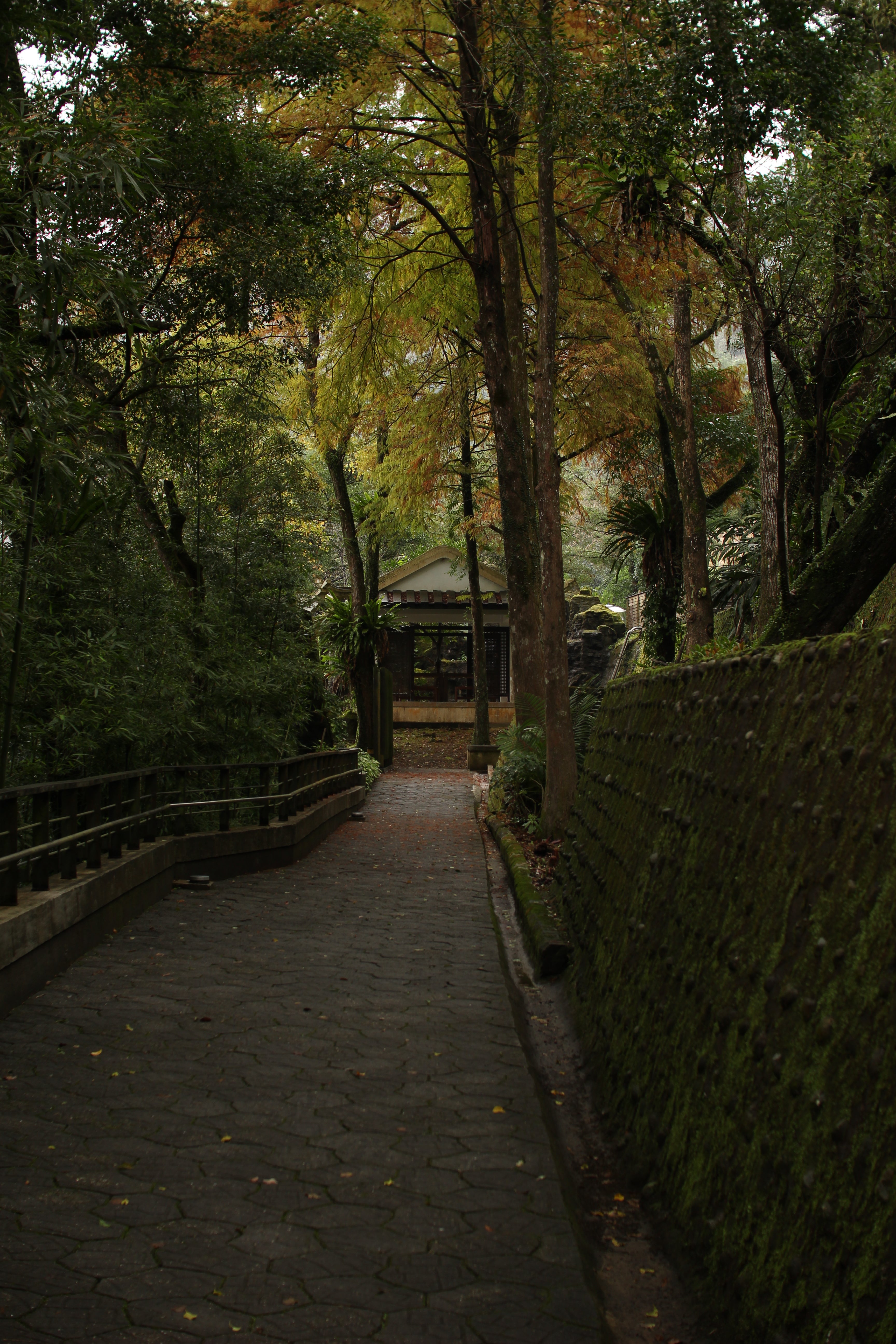 The home stretch - Taiwan garden photography print